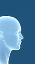 3D glowing human head profile, artificial intelligence and anatomy concept Royalty Free Stock Photo