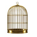 3d Gold birdcage