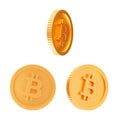 3D Gold Bitcoin Multi angle