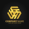 3D Gold Letter H Hexagonal Company Modern Logos Design Vector Illustration Template