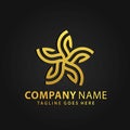3D Gold Star Leaf Abstract Company Modern Logos Design Vector Illustration Template