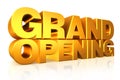 3D gold text grand opening.