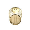 3d golden birdcage