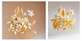 3D Golden Happy Wedding Arabic Floral roses calligraphy Zawaj Saeed For wedding greeting card