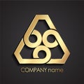 3d golden linear shape abstract triangle logo