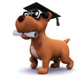 3d Graduate puppy