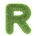 3d Grass creative cartoon nature decorative letter R