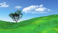 3D grassy landscape with tree Royalty Free Stock Photo