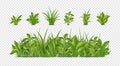 3d green grass, garden weed. Realistic farm summer field for herbal landscape, sprouts in meadow, spring outdoor border