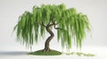 green tree white background , 3d render Royalty Free Stock Photo