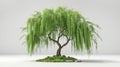 green tree white background , 3d render Royalty Free Stock Photo
