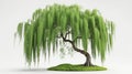 green tree white background , 3d render Royalty Free Stock Photo