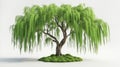 green tree white background , 3d render Royalty Free Stock Photo