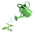 3d Green watering can and seedling