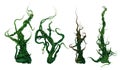 3D Growing Plant Vines