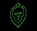 3d head animal of lion. Isometric logo.
