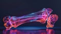 3D hologram femur bone representation for educational purposes