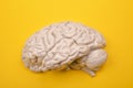 3D human brain model from external on yellow background