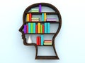 3d human head shape bookshelf and books Royalty Free Stock Photo