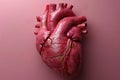 3d human heart model, in the style of hyperrealistic illustrations, light pink and crimson. Generative AI