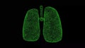 3D Human lungs on black background. Medical and Scientific concept. Internal organs. Business advertising backdrop. For