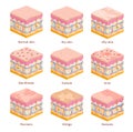 3d human skin types cross section layers. Dry, oily and normal epidermis. Skin problems, acne, blackheads, psoriasis and Royalty Free Stock Photo