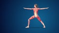 3D human Virabhadrasana_II yoga pose on blue background Royalty Free Stock Photo