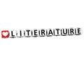 3D I Love Study Literature Button Block text on white background