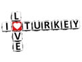 3D I Love Turkey Crossword