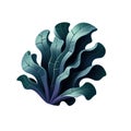 3d icon Laver Isolated on white background,sea plant concept Royalty Free Stock Photo