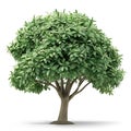 3d icon Pistachio tree, isolated on white background. 3d illustration