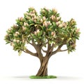 3d icon Pistachio tree, with pistachio nuts isolated on white background. 3d illustration