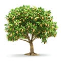 3d icon Pistachio tree, with pistachio nuts isolated on white background. 3d illustration