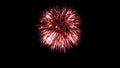 3D illustration. Abstract Realistic animation Firework Colorful