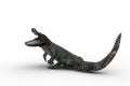 3D illustration of an Alligator attacking with jaws wide open isolated on white