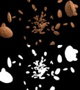 3D illustration of a almond flow with alpha layer Royalty Free Stock Photo