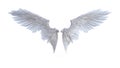 Angel wings