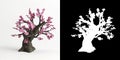3d illustration of Armeniaca mume bonsai isolated on white and its mask