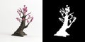 3d illustration of Armeniaca mume bonsai isolated on white and its mask