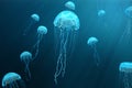 3D illustration background of jellyfish. Jellyfish swims in the ocean sea, light passes through the water, creating the Royalty Free Stock Photo