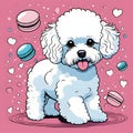 2D illustration of Bichon Frise dog