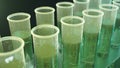 3D Illustration biofuel oil research in the laboratory, biofuel concept. Bacteria in the liquid inside the test tube as