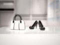 3d illustration of black shoes and a white bag Royalty Free Stock Photo