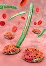 3d illustration of blood cells, plasmodium causing malaria Royalty Free Stock Photo