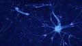 3d render brain neurons with synapses and axons Royalty Free Stock Photo