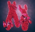 Broken or defected red colored x and y chromosomes