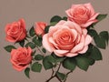 3d illustration of a bunch of pink roses with leaves on a gray background Royalty Free Stock Photo