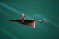 3D Illustration , Businessman on paper airplanes flying