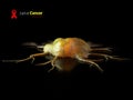 3d illustration of Cancer cells on blured black background. Royalty Free Stock Photo