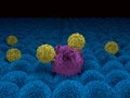 CAR T cells attacking a cancer cell